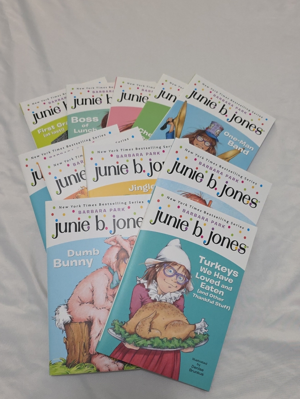 Junie B. Jones 11 Book Bundle